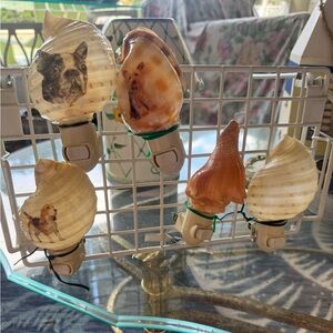 Nightlights handmade shells 🐚